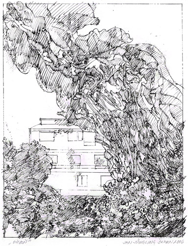 architektura