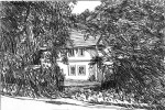 architektura
