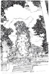 architektura