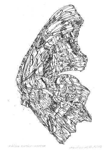architektura