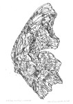 architektura