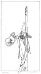 balet II