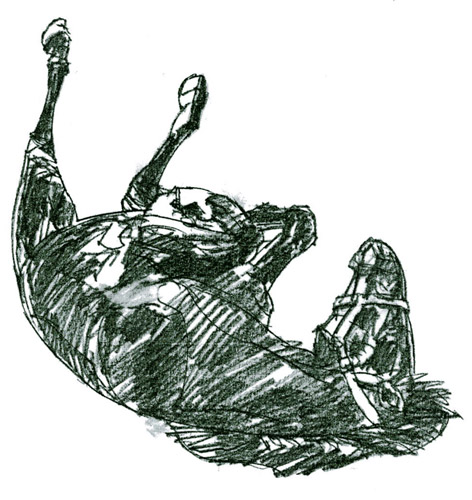 koně